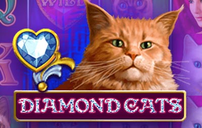 Diamond Cats